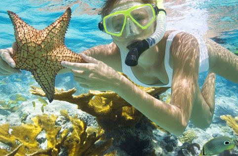Snorkeling — Tours Cayman Grand Cayman boat tour photo