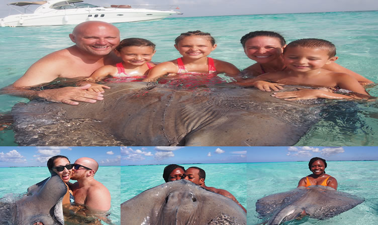 Stingray — Tours Cayman Grand Cayman boat tour photo