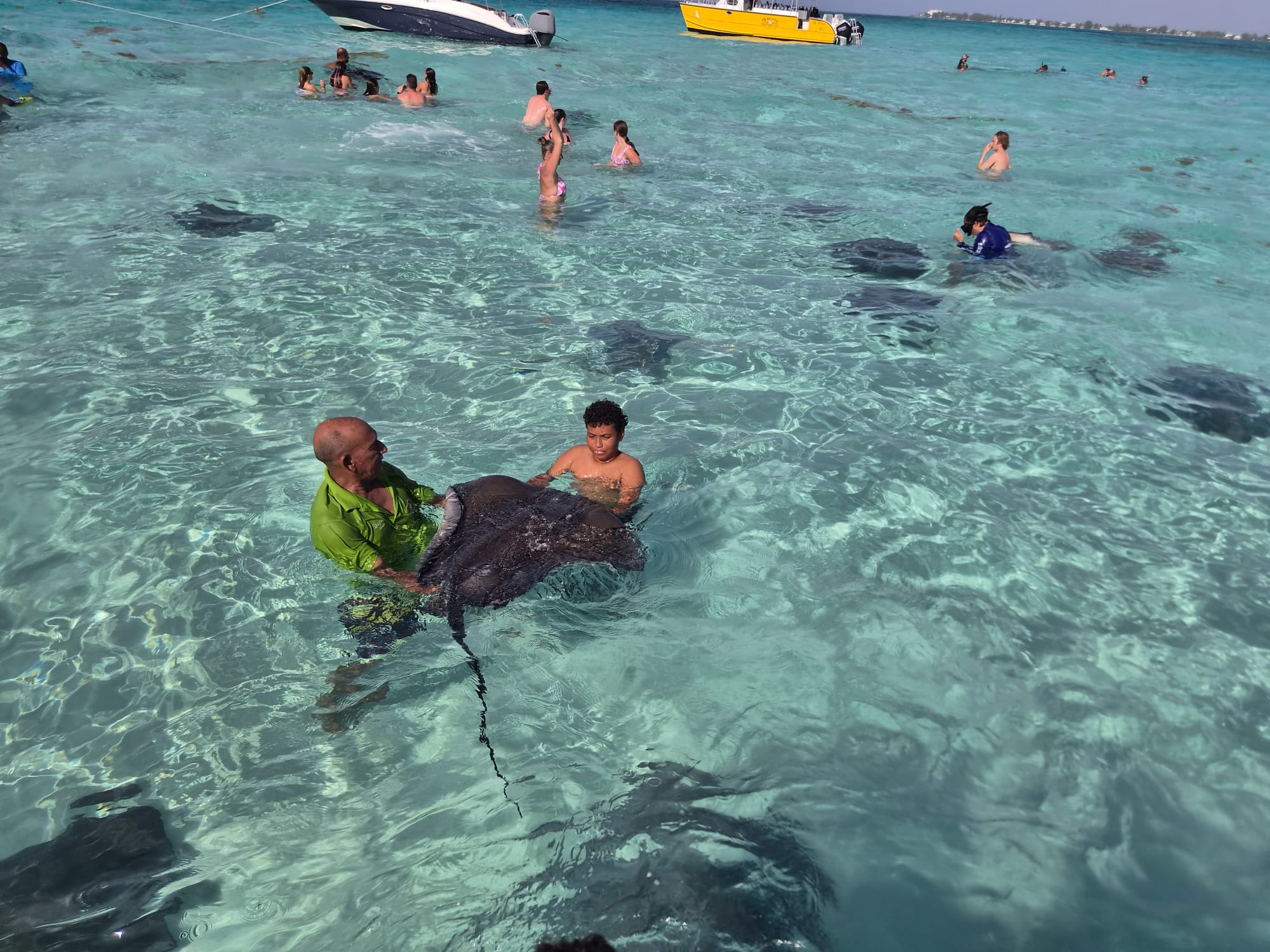 Tours Cayman guide holding a friendly southern stingray for a young guest at Stingray City sandbar