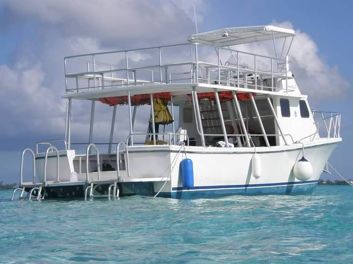 Party Boat Charters — Tours Cayman, Grand Cayman